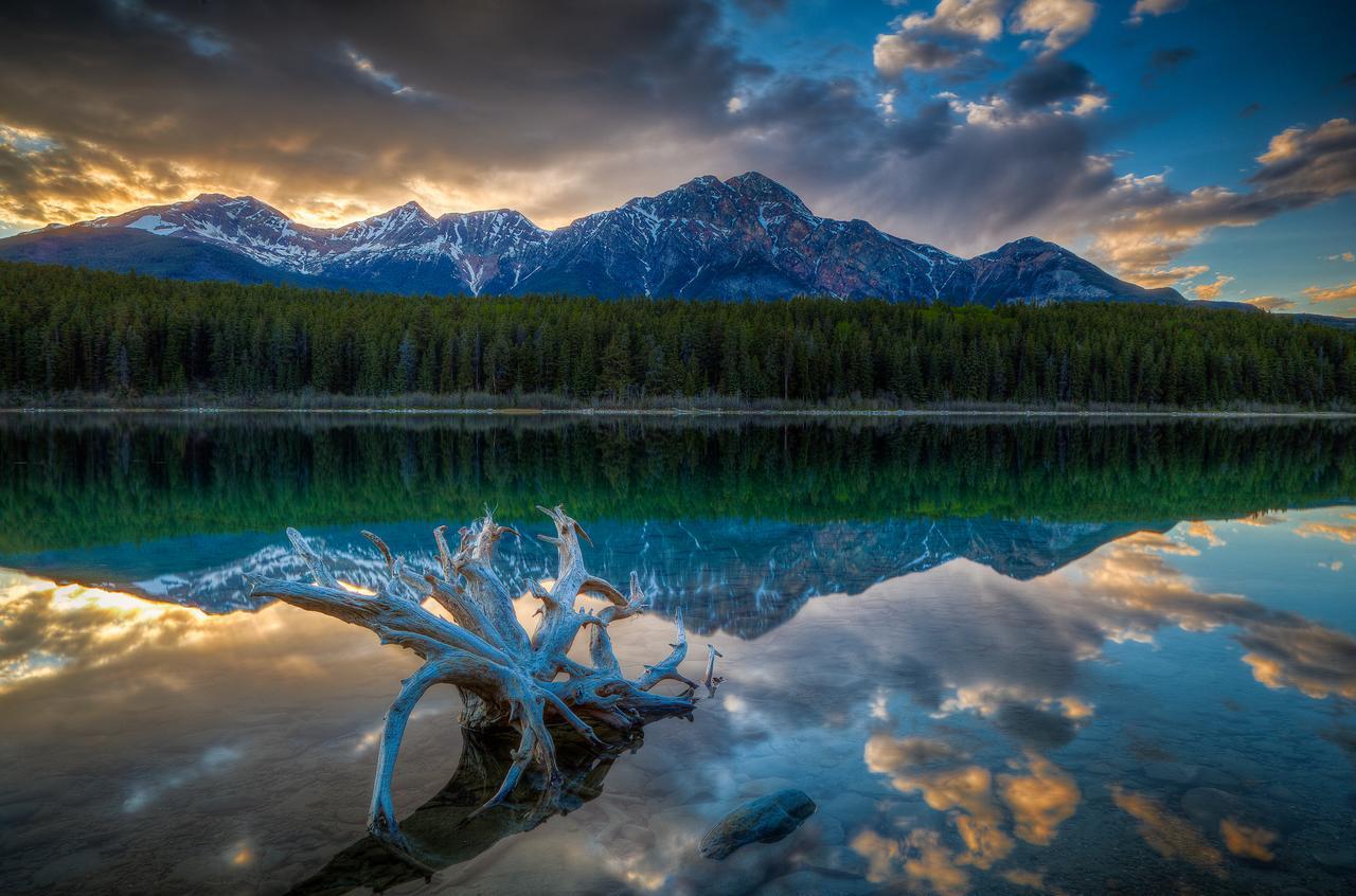 Patricia Lake Bungalows Jasper Bagian luar foto